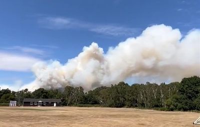 Major incident declared over large fire at Surrey’s Hankley Common