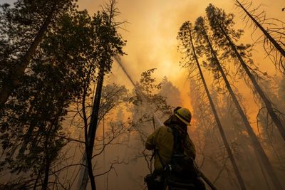 California wildfire grows as US bakes in record heat