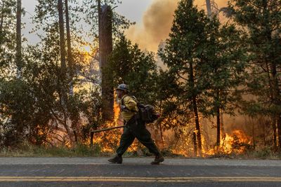 No containment of destructive California fire near Yosemite