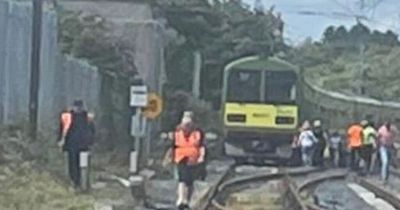 Irish Rail slammed as 'disgrace' after passengers 'forced doors open and trespassed on track'
