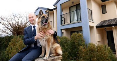 Canberra's most pet-friendly suburb for renters revealed