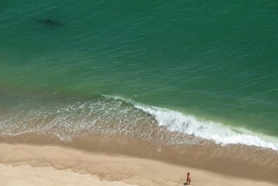 Why shark encounters are increasing along the US East Coast
