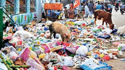 Cleaning drive in Chennai: 192 tonnes of waste removed