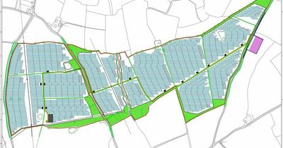 Giant solar farm planned for East Midlands countryside set for approval despite hundreds of objections