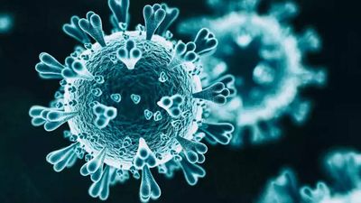 162 new Covid-19 cases in Puducherry