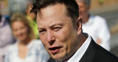 Elon Musk denies affair with Google founder's wife 'prompting their divorce'