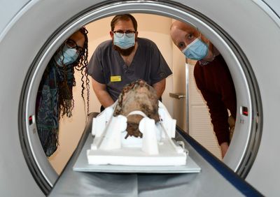 Egyptian Mummy’s Decapitated Head Found In An Attic Reveals Its Secrets Through CT Analysis