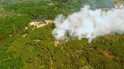 Troops Destroy Entire Russian Artillery Division Hiding In Woods