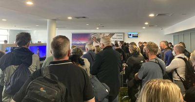 Passengers frustrated as heavy fog stifles smooth travel plans