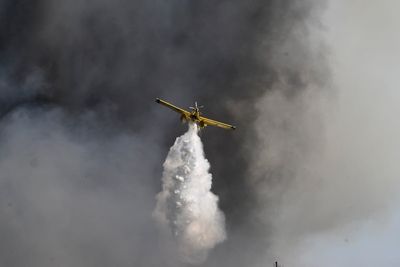 Firebreaks halt blaze on Greek island, homes saved