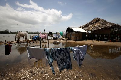 Senegalese island keeps coastal erosion at bay with stakes in the sand