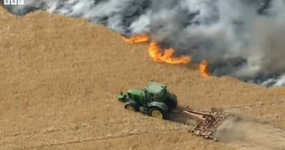 Hero farmer ploughs through crops to stop deadly wildfires heading towards homes