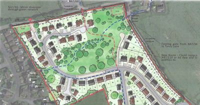 Plans for 72 Dorset homes approved as council’s refusal overturned