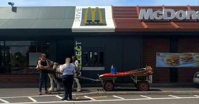 McDonald's refuse to serve men on horse and cart due to little-known drive-thru rules