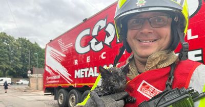 'Lucky' kitten found alive in rubbish pile as firefighters called to major blaze in Nottingham