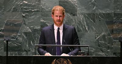 Prince Harry's memoir could be 'out by Christmas' and 'counter claims' in bombshell book
