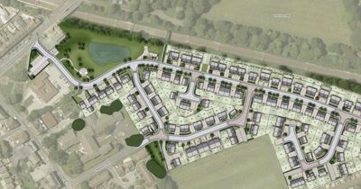 Plans for 164 homes spark concerns for NHS