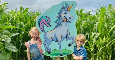 Enchanted Maize Maze with unicorn and wizard opens near Manchester for the school holidays
