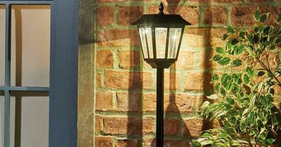 Aldi shoppers say this £25 Specialbuy is a 'classy addition to the garden'