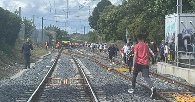 Irish Rail boss apologises to 'distressed' passengers after Bray DART fiasco