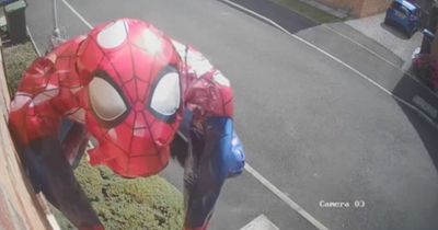 Terrified mum sees Spider-Man eerily flying towards her home - but it's hilarious mishap