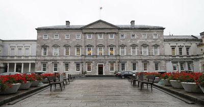 Some Leinster House staff working so much overtime they almost doubled their salaries