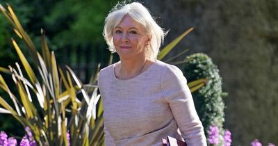 'FFS Nadine!' Backlash to Dorries' comments on Rishi Sunak's clothing