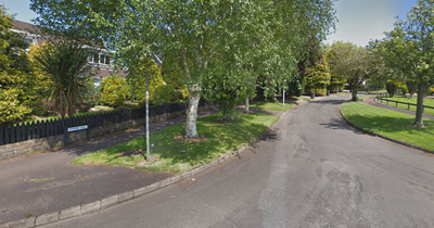 Scene near Irish housing estate cordoned off after dog walker discovers body