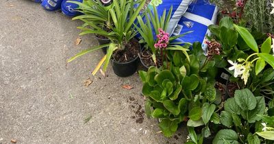 Child specialist services in south Dublin builds innovative sensory garden