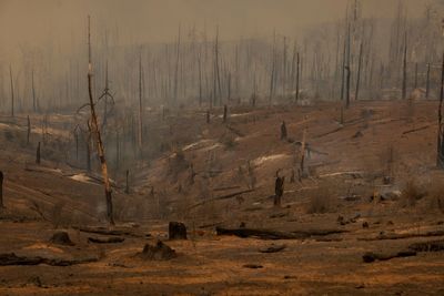 Firefighters battle California wildfire as heat wave grips much of US