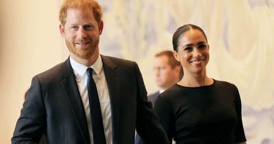 Harry and Meghan make generous donation in Archie and Lilibet's name after boy's death