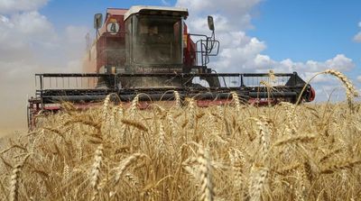 UN World Food Program Optimistic on Ukraine Grain Export Deal