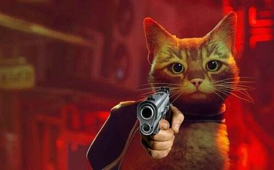 'Stray' shouldn’t have given the cat a gun