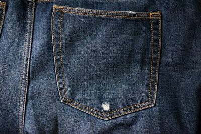 Humans wear cotton every day — now, the plant needs genetics' help to survive