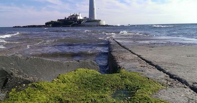 North East weather: An hour-by-hour forecast for Tuesday and Wednesday according to the Met Office