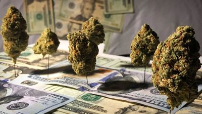 Cannabis News Week: JuicyFields Collapses; Cannabis Research Bill