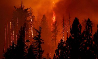 Why Yosemite’s Oak fire is burning with such ferocity – explained