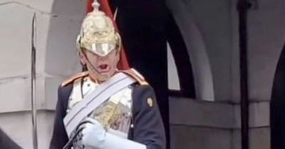 Tourist gobsmacked after Queen's guard screams at her for touching horse's reins