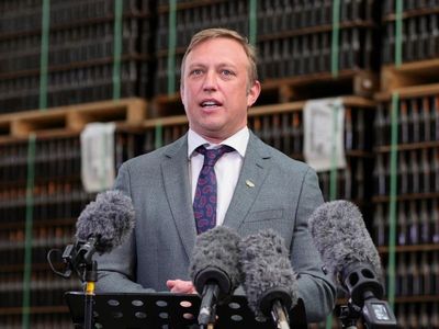 Qld auditor still probing Wellcamp project