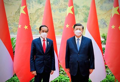 China, Indonesia hail 'win-win' cooperation after rare Beijing summit