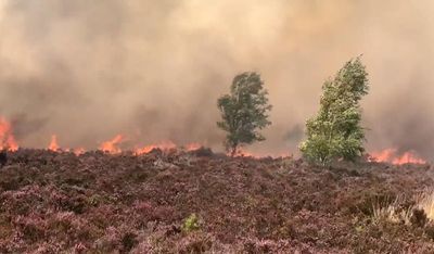 Fire chiefs urge UK cities to prepare for wildfires