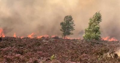 UK cities warned to get ready for wild fires