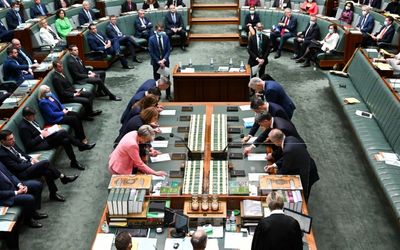 Mask advice divides new Parliament from its outset