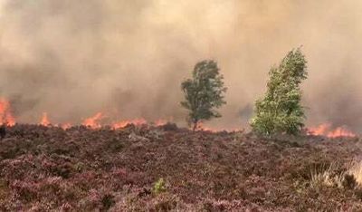 Fire chiefs urge London to prepare for wildfires