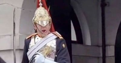 Tourist shocked as Queen’s guard screams at her for touching horse’s reins