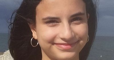 Gardai concerned for missing teenage girl in South Dublin