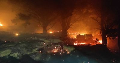 Firefighters hospitalised after huge wildfire engulfs Dublin area