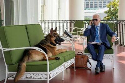 Isolating Joe Biden ‘feeling better everyday’ after Covid infection and jokes ‘my dog had to wake me up’