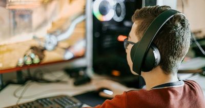 Third of parents fear kids will be 'gamer fraud victims' - with their money at risk