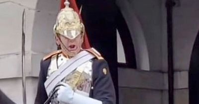 Queen's guard screams at tourist for touching horse's reins in TikTok video